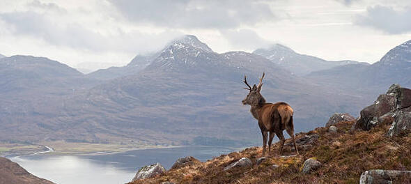 Scottish Budget confirms 2022/23 income tax rates