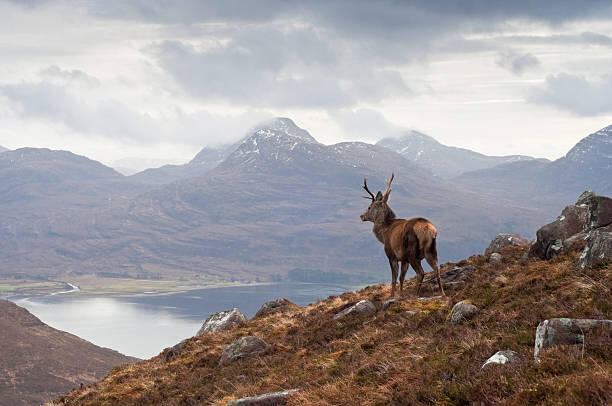 Scottish Budget confirms 2022/23 income tax rates