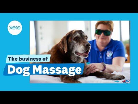 The Business of Dog Massage